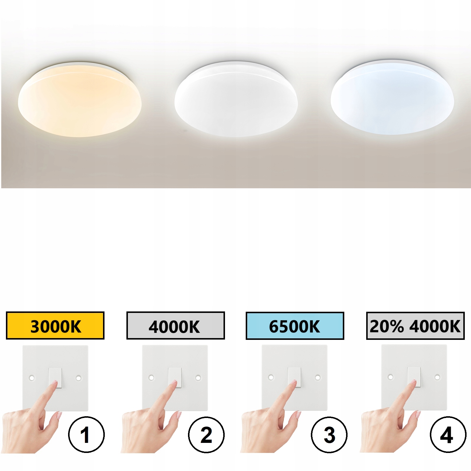 f4120761ddc8ff9a0ca1404108114b8e