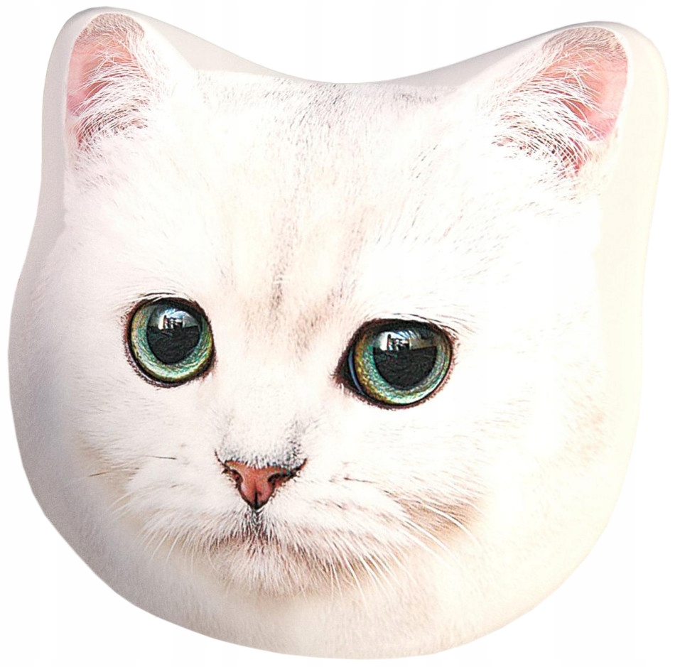 Poduszka dziecięca Mikrofibra 40x40 Greno kot