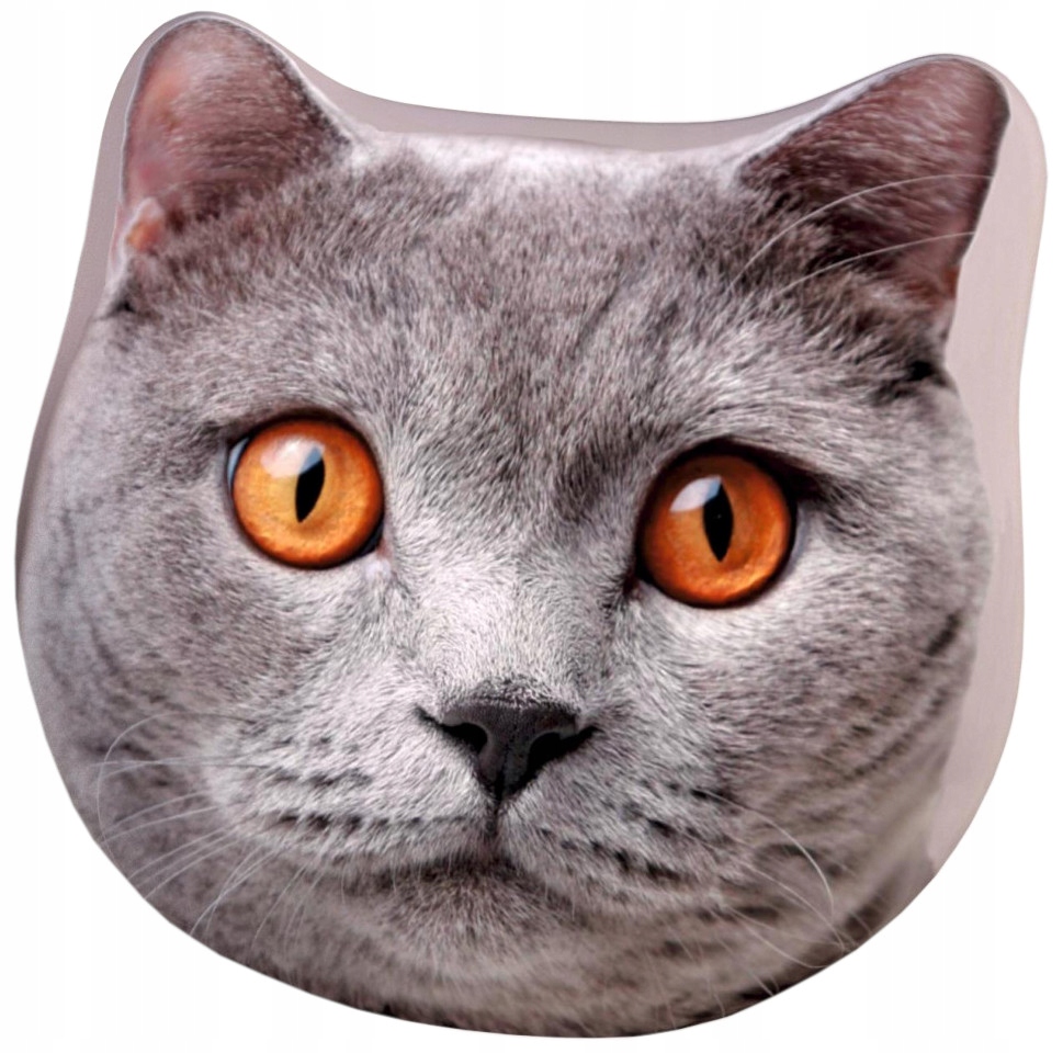 Poduszka dziecięca Mikrofibra 40x40 Greno kot