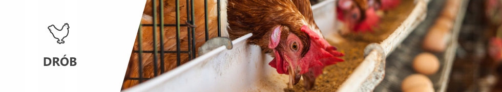 Pasza Kurczak II 25kg Linia Przyzagrodowa 8-12 tyg