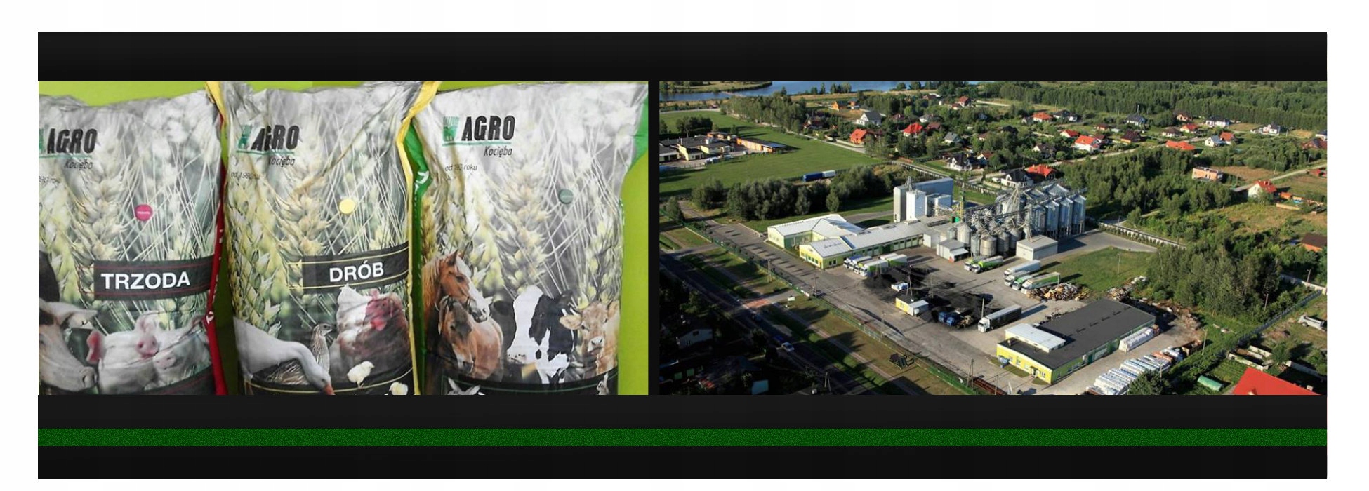 Pasza dla kur Nioska GR 25kg granulowana