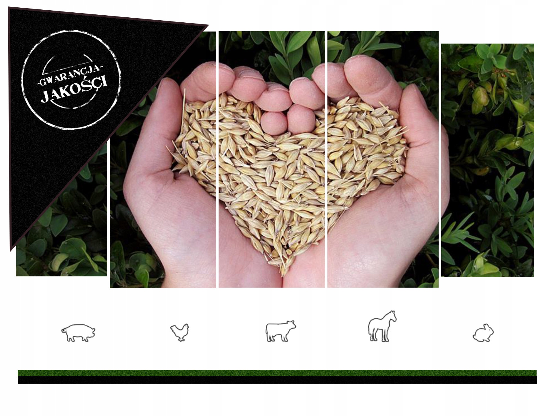 Wysłodki buraczane opakowanie 25 kg SMART