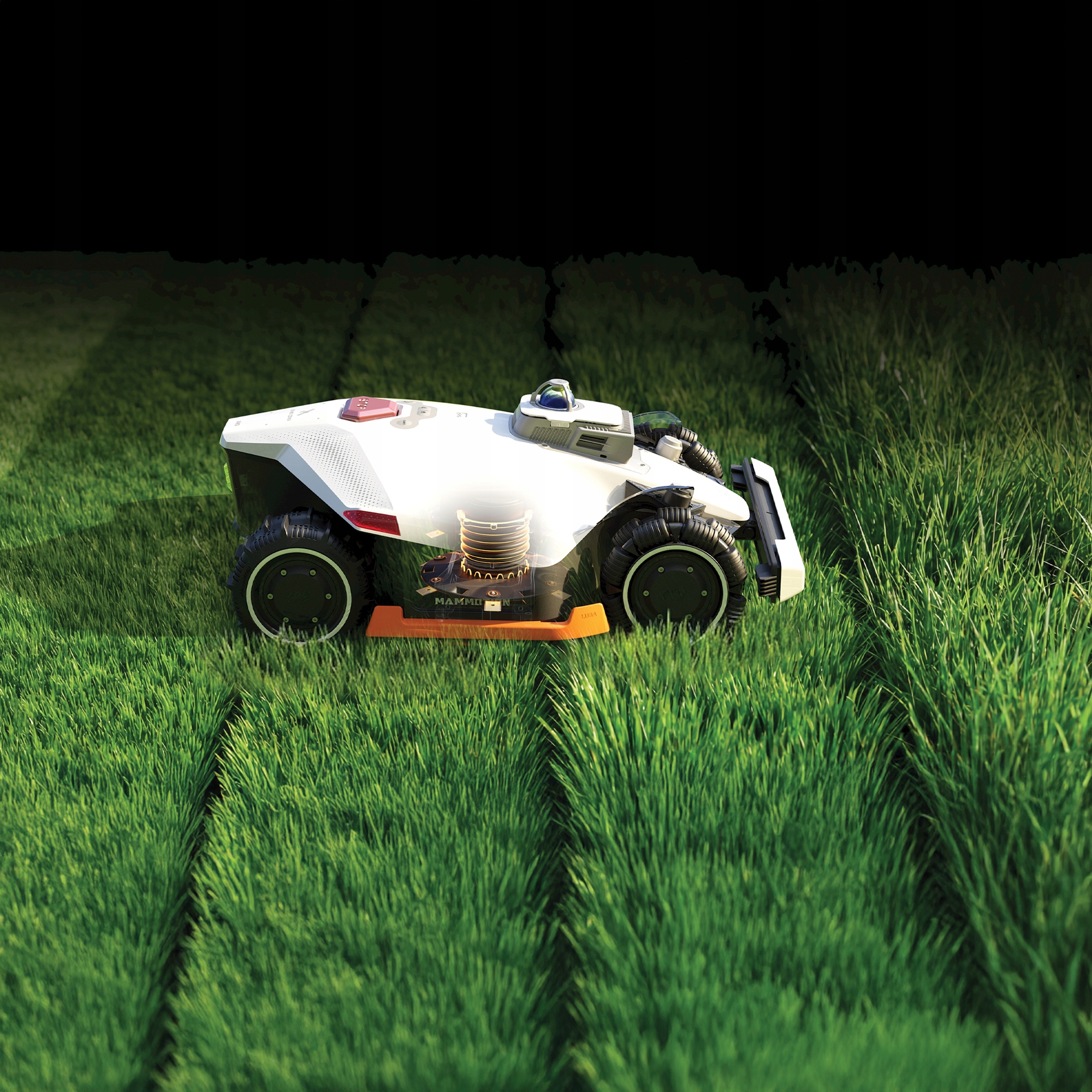 Funkcje zarządzania i strefy koszenia