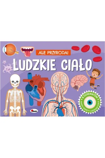 Zdjęcie produktu - 2