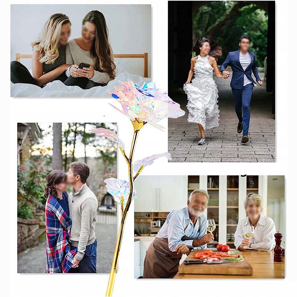 WIECZNA RÓŻA NEW MODEL: NR:8656