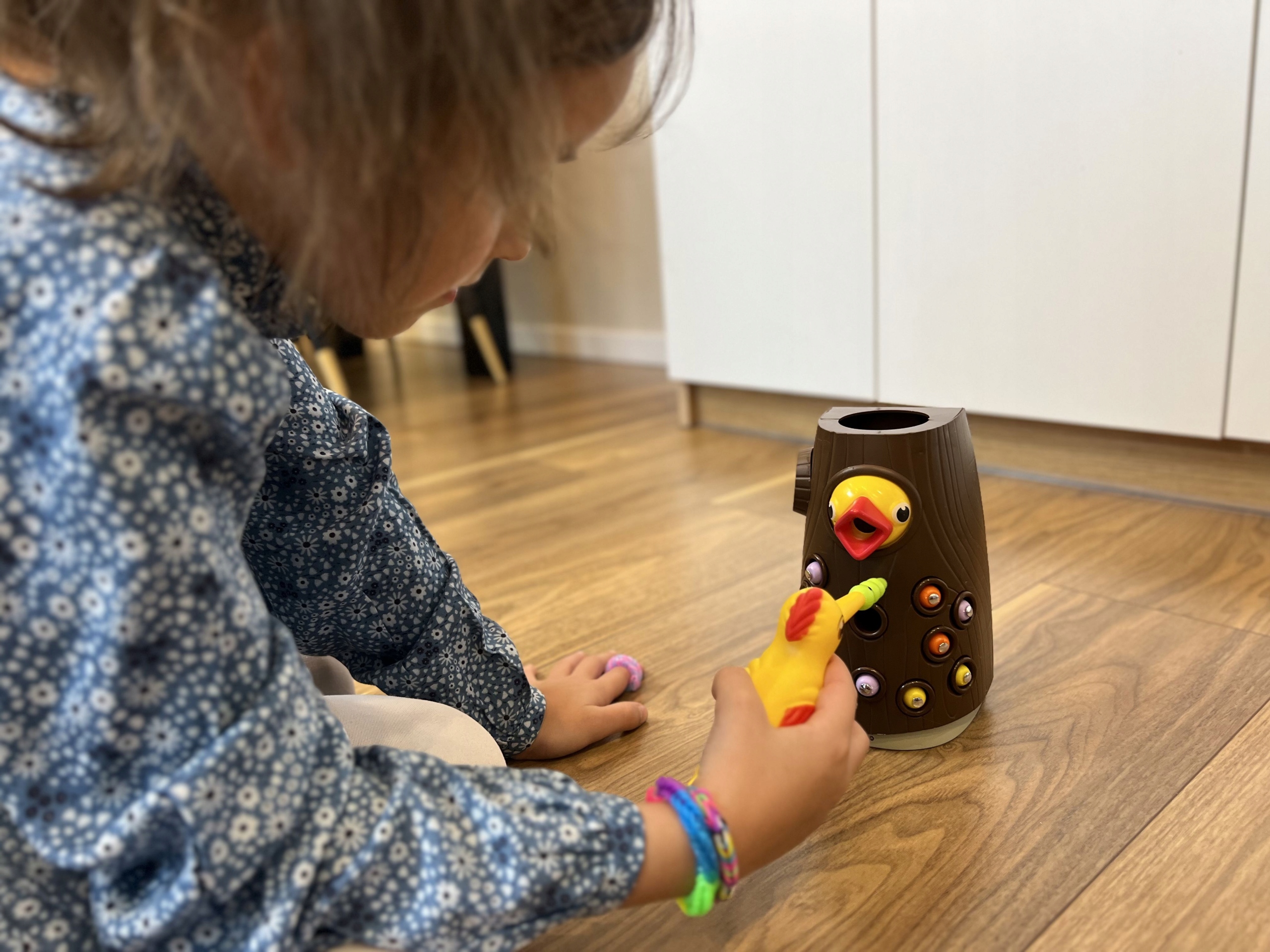 DZIĘCIOŁ ŁAPIE OWADY NR:8304