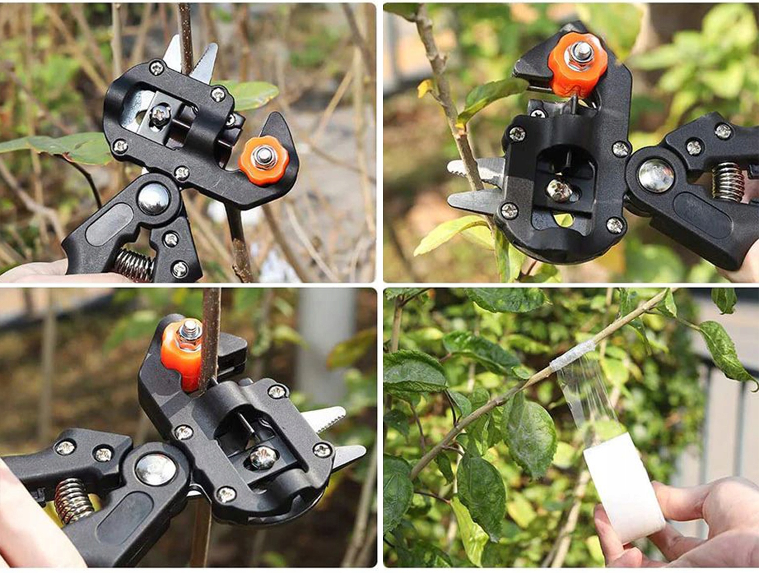 SEKATOR BLISTER NR:7031