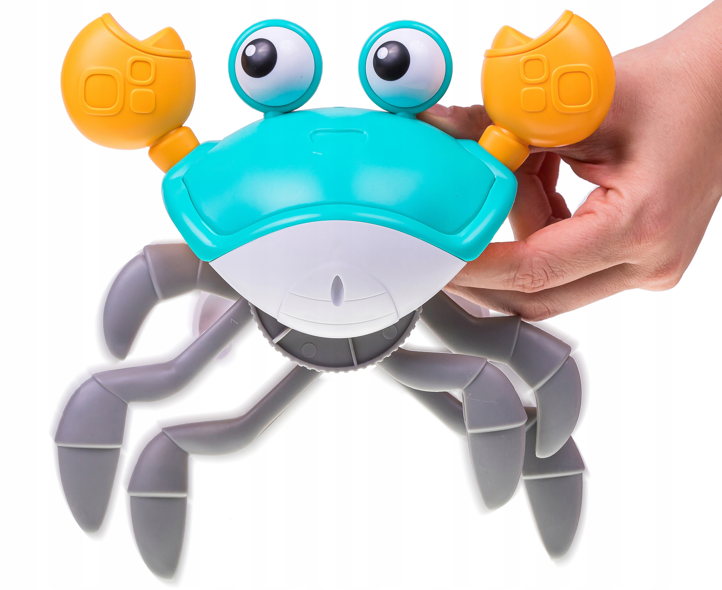 PEŁZAJĄCY KRAB NR:9073