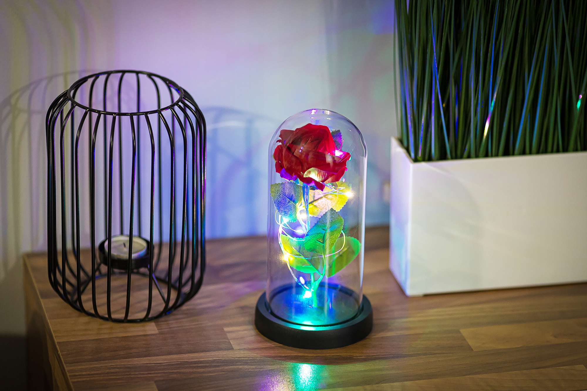 WIECZNA RÓŻA NEW MODEL: NR:8656