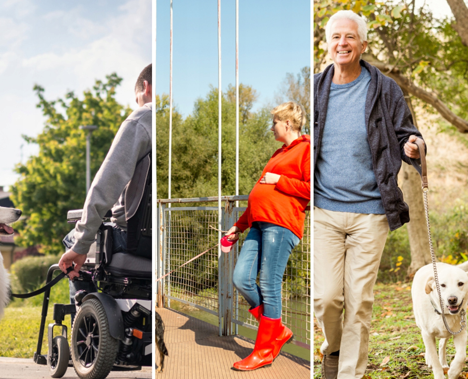 ZBIERACZ DO ODCHODOW NR:8724