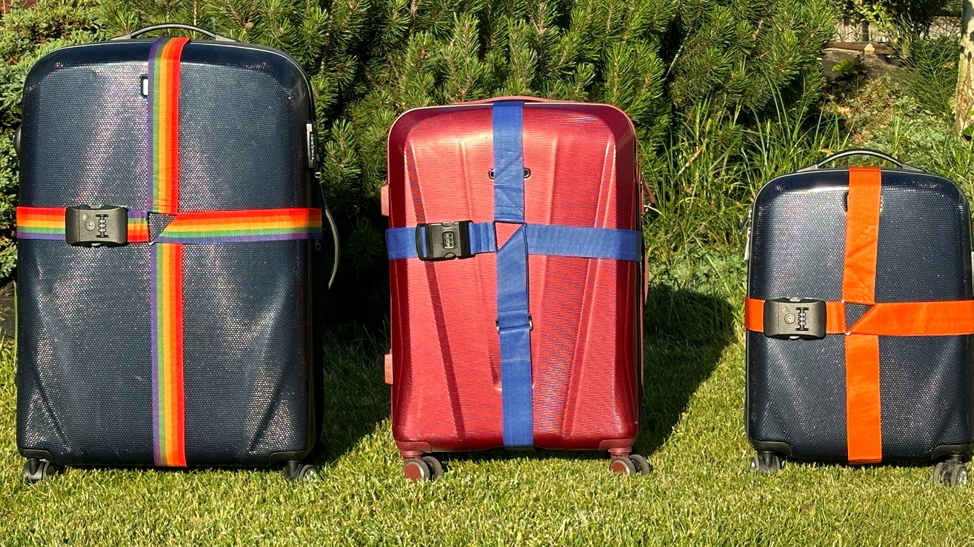 TSA PAS DO WALIZEK ZABEZPIECZ. NR:9660