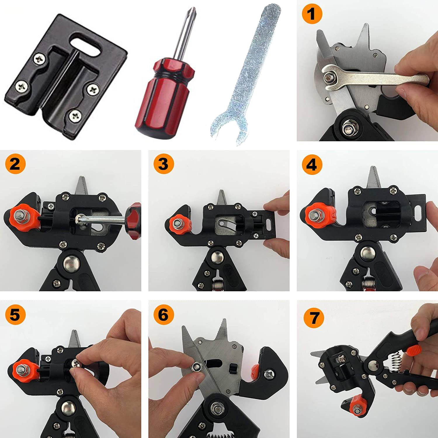 SEKATOR BLISTER NR:7031