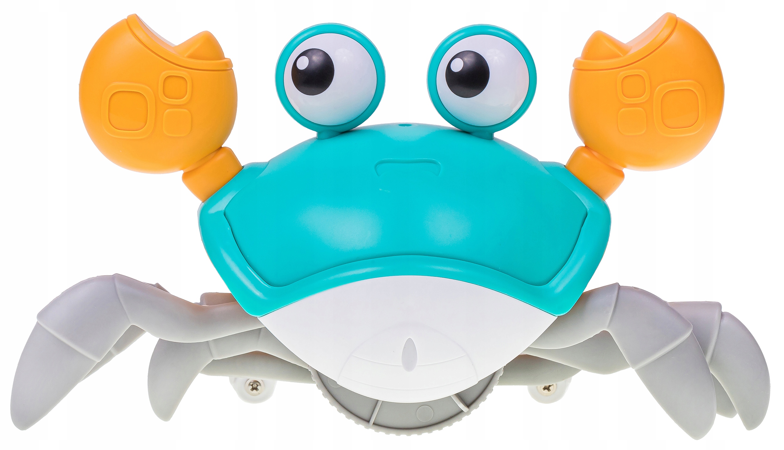 PEŁZAJĄCY KRAB NR:9073