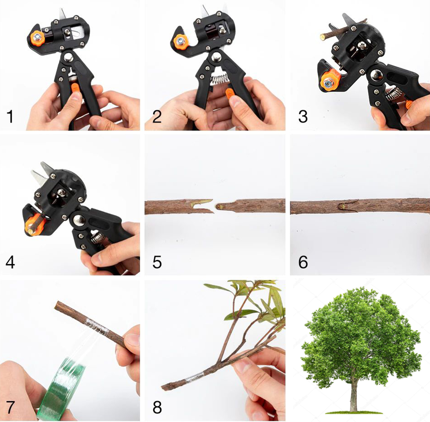 SEKATOR BLISTER NR:7031