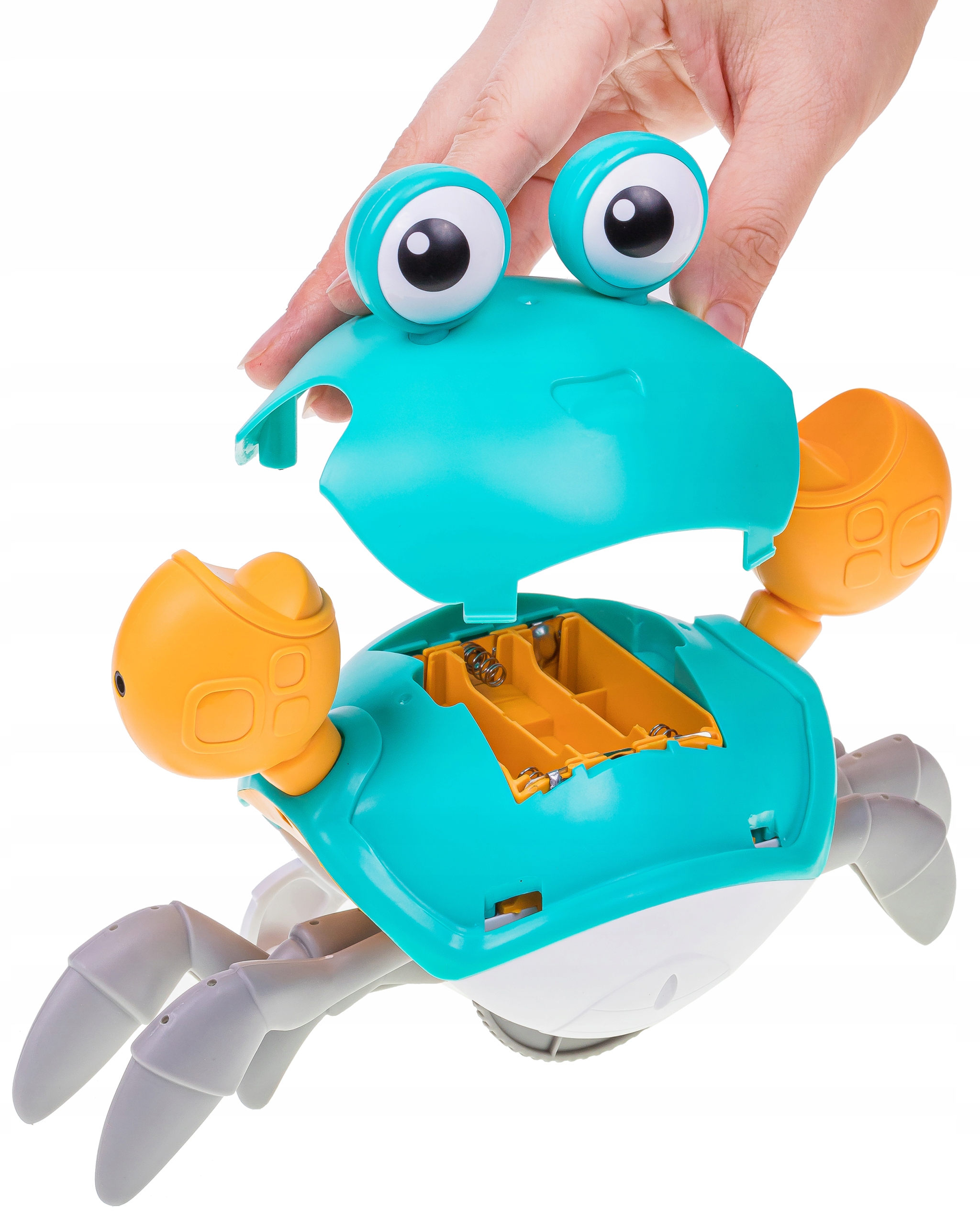 PEŁZAJĄCY KRAB NR:9073