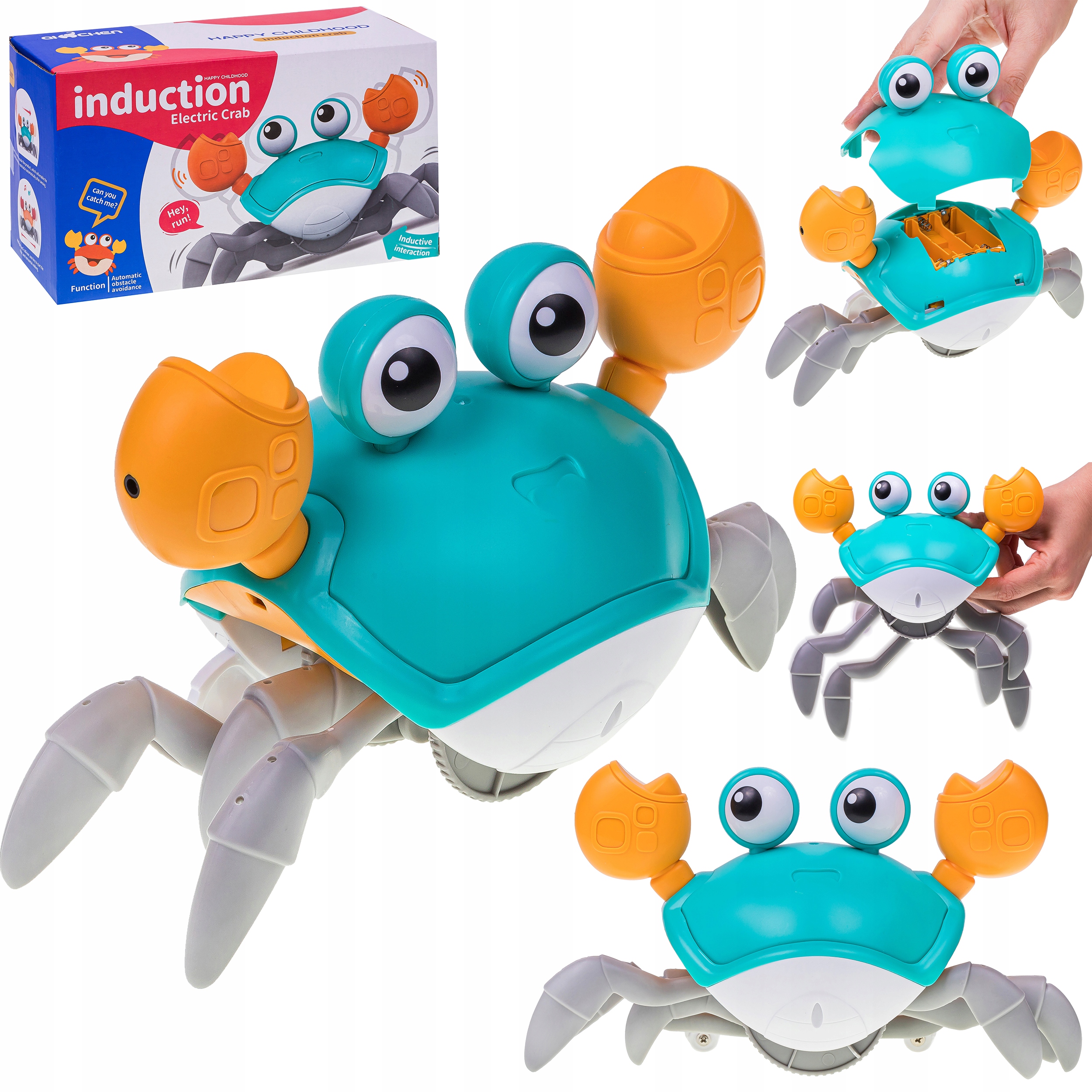 PEŁZAJĄCY KRAB NR:9073