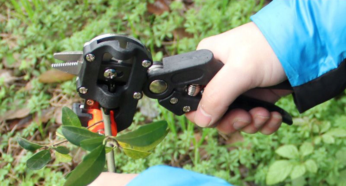 SEKATOR BLISTER NR:7031