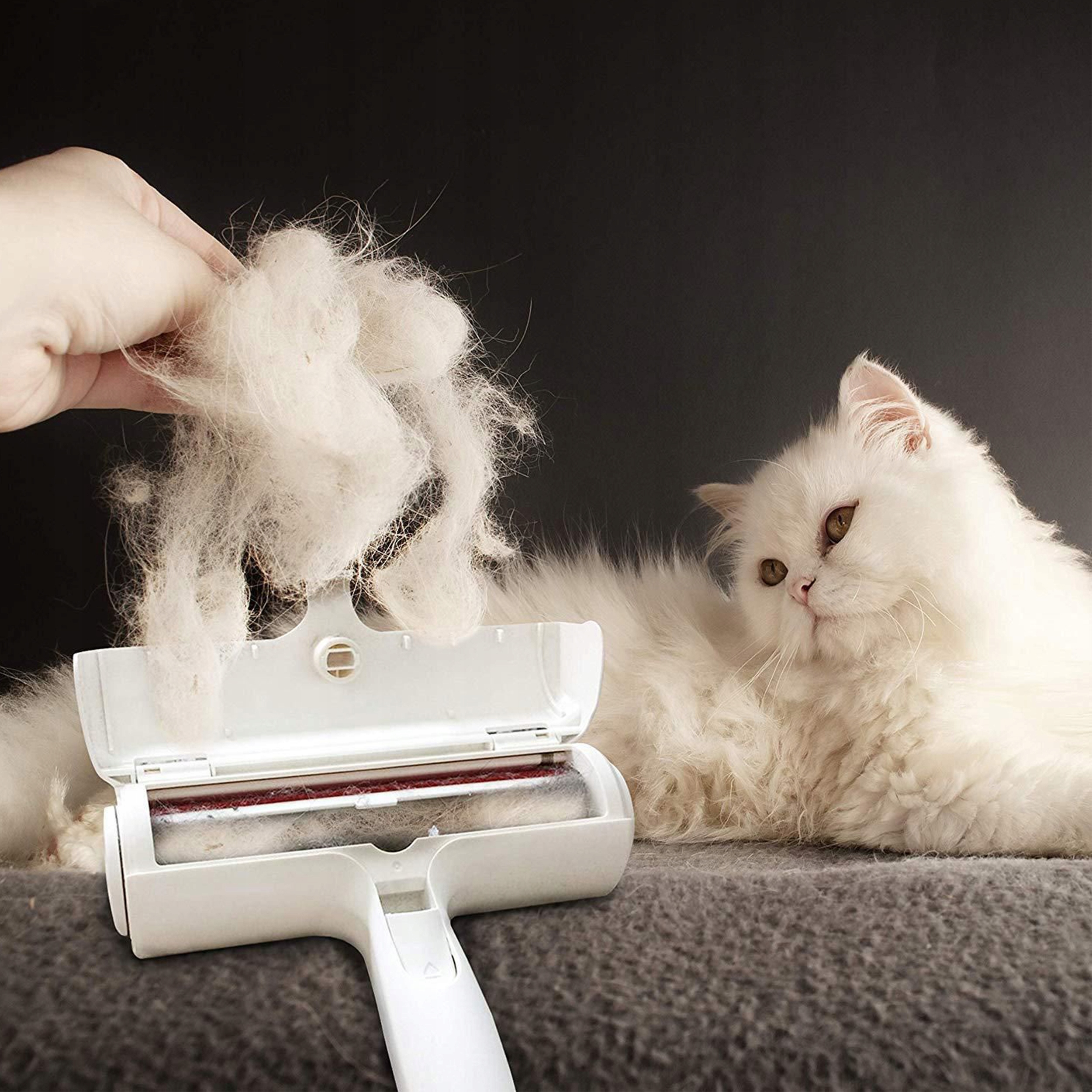 SZCZOTKA DO USUWANIA SIERSCI