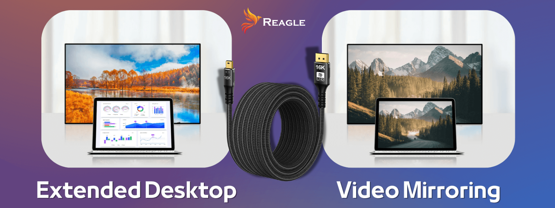 Reagle Mini DisplayPort DisplayPort 2.1 16K 8K 240Hz