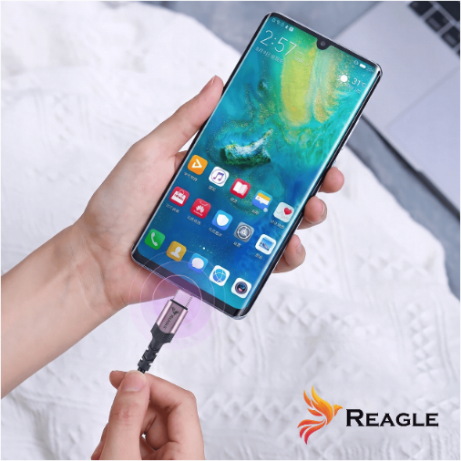 Reagle USB C kabel PD 240W QC 4.0 50cm