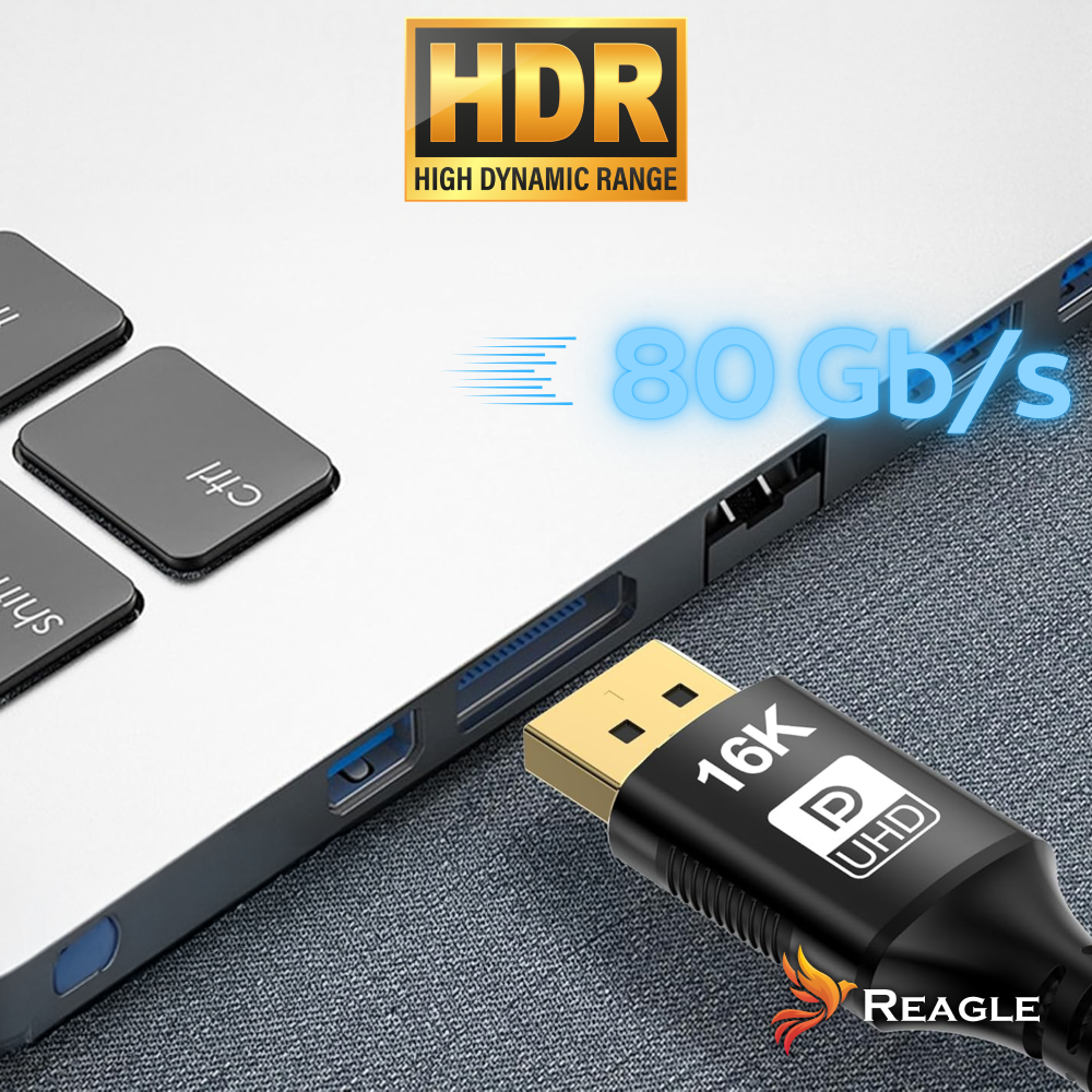 Reagle RMDD100P Dynamic HDR Dolby Atmos DTS X DisplayPort 2.1