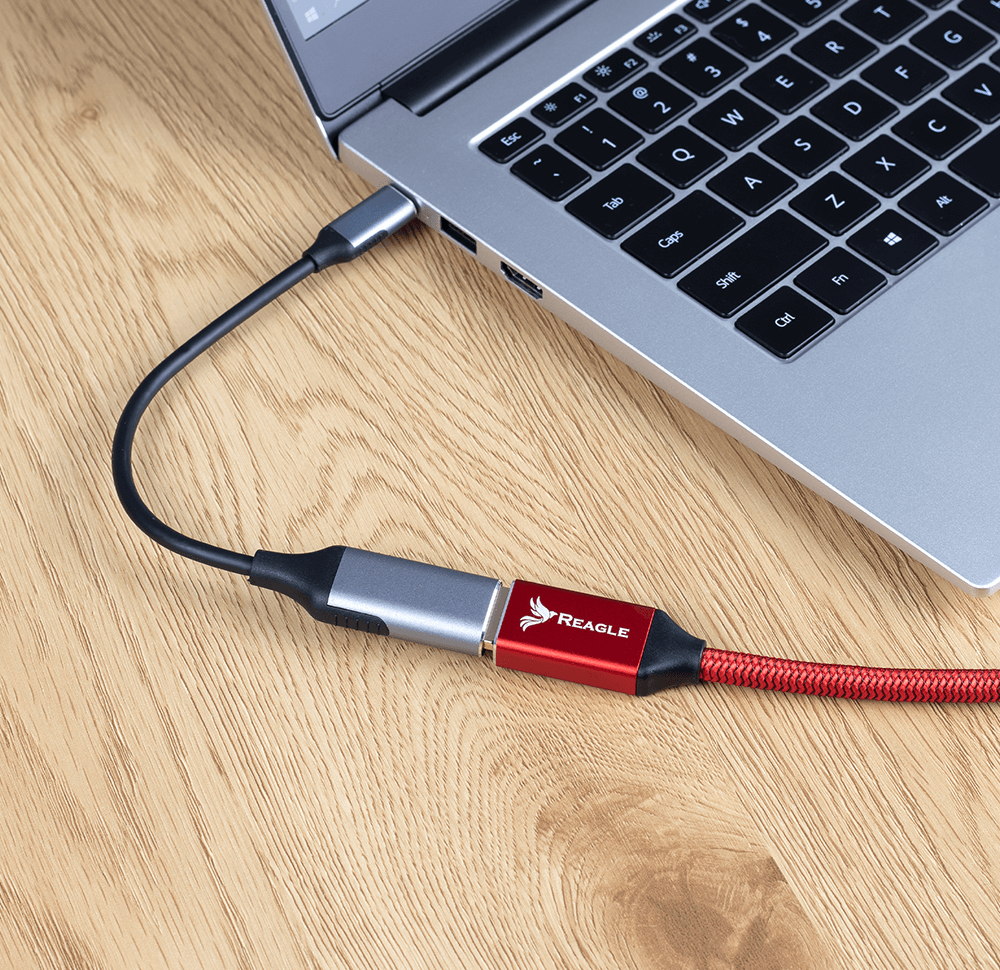 Reagle USB-C auf DisplayPort 4K 60Hz DP MAC Adapterkabel_3