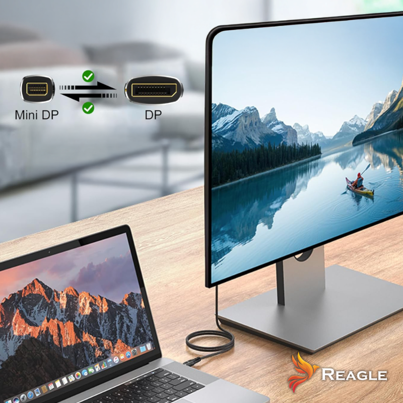 Reagle RMDD100P mini DisplayPort DisplayPort 2.1 1m