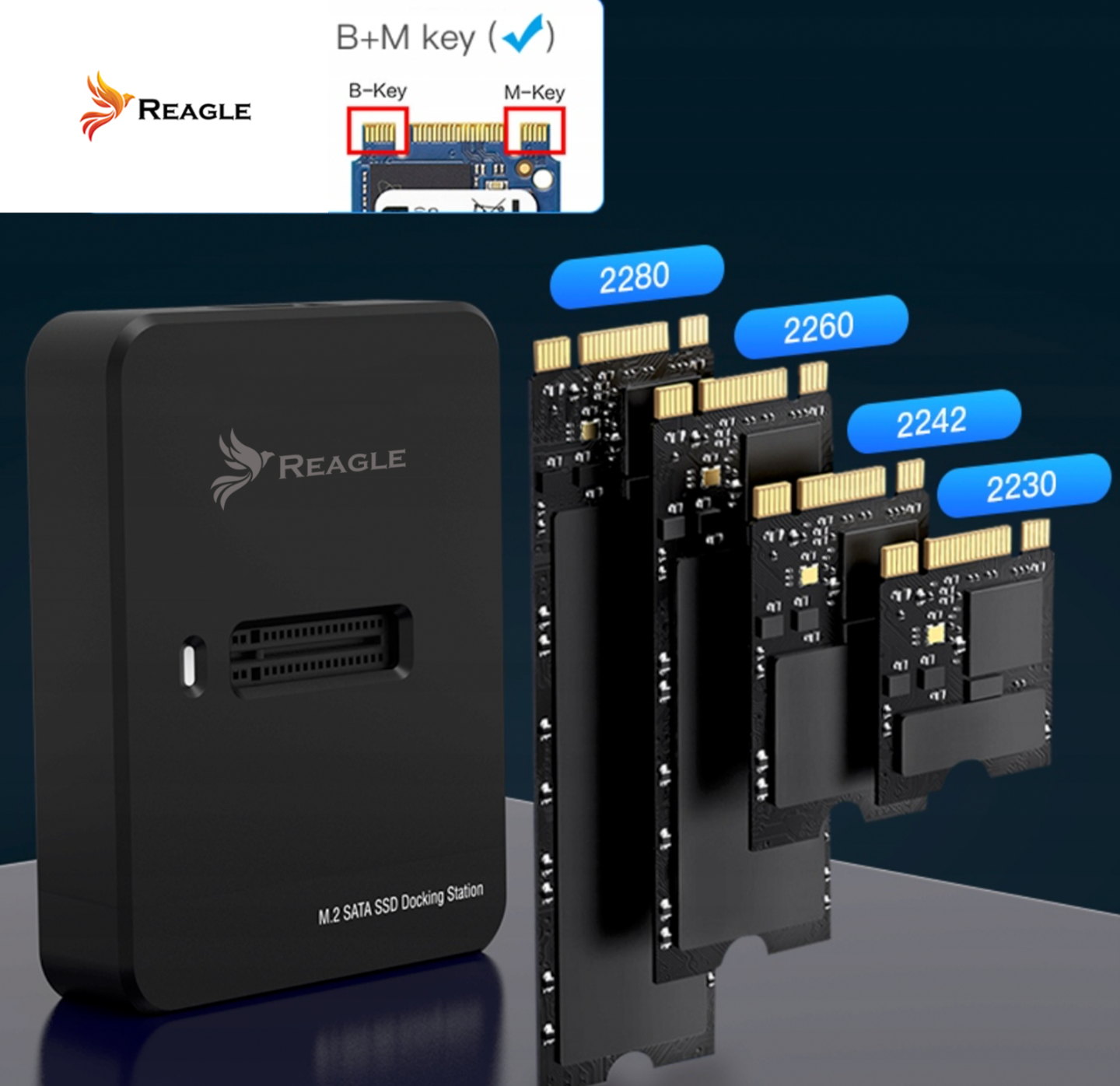 Reagle Adapter SSD M.2 SATA NGFF kieszeń dysk 2w1 USB-C 3.2 i USB-A 10 Gb/s_1