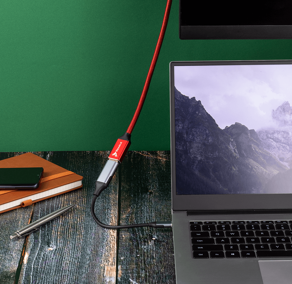 Reagle USB-C auf DisplayPort 4K 60Hz DP MAC Adapterkabel_2