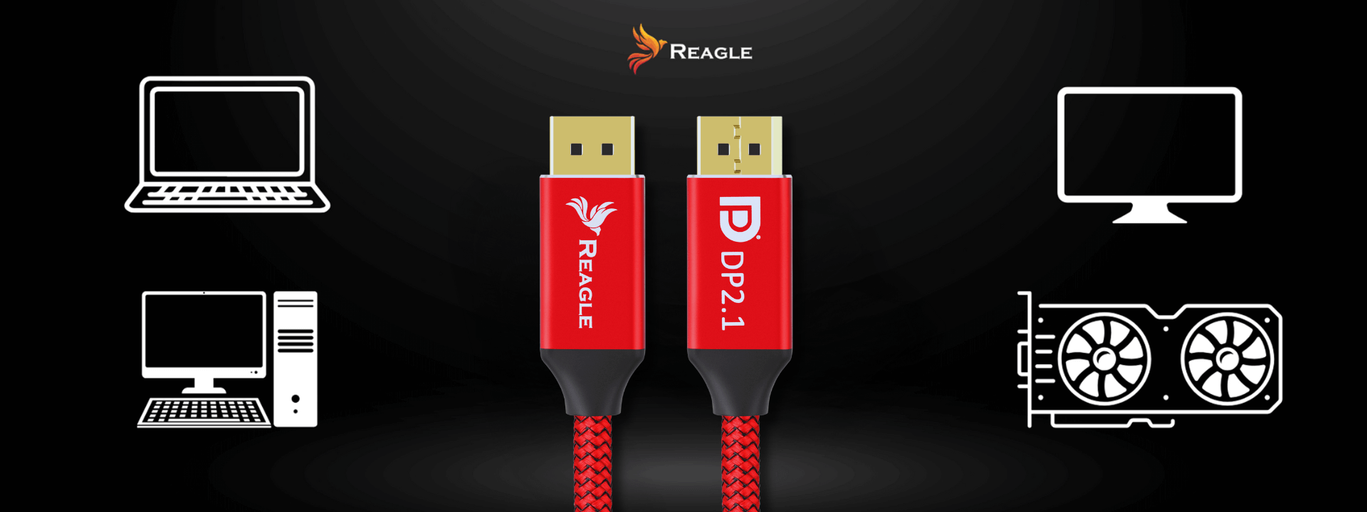 Reagle RDP100M2 DisplayPort Dynamic HDR
