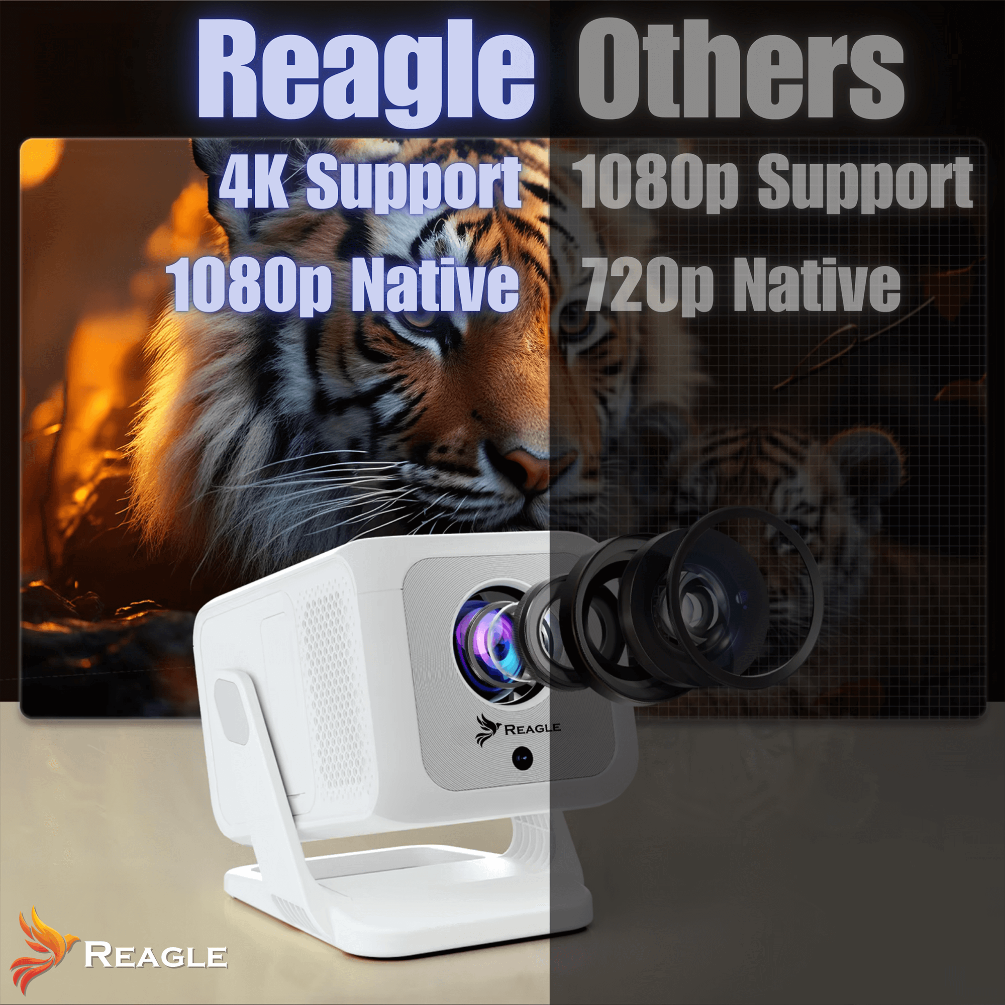 Reagle R-MOVIELUM-P31 Full HD 1920x1080 obsługa 4K