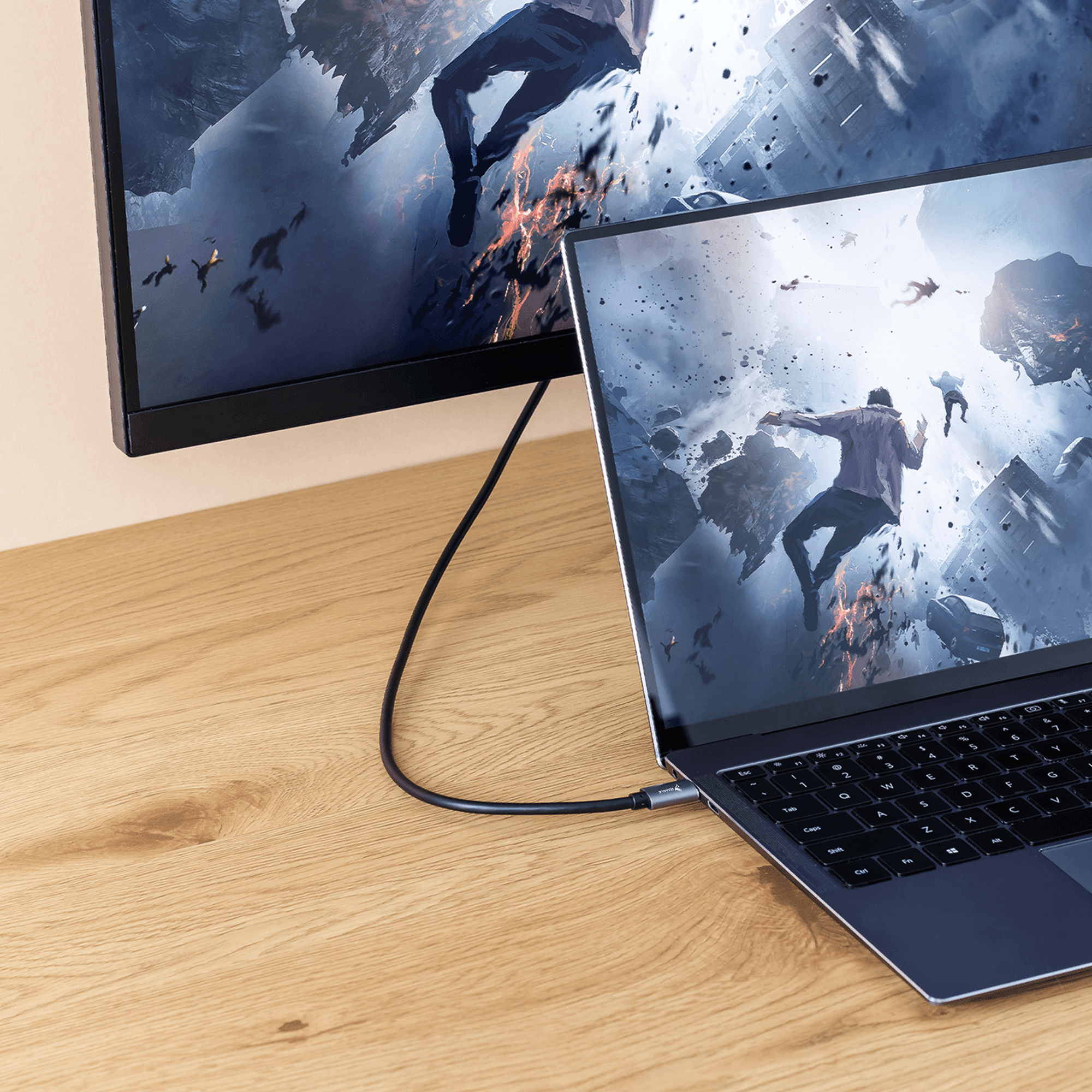 Reagle USB-C auf Displayport DP 8K 4K 144Hz Adapterkabel_2