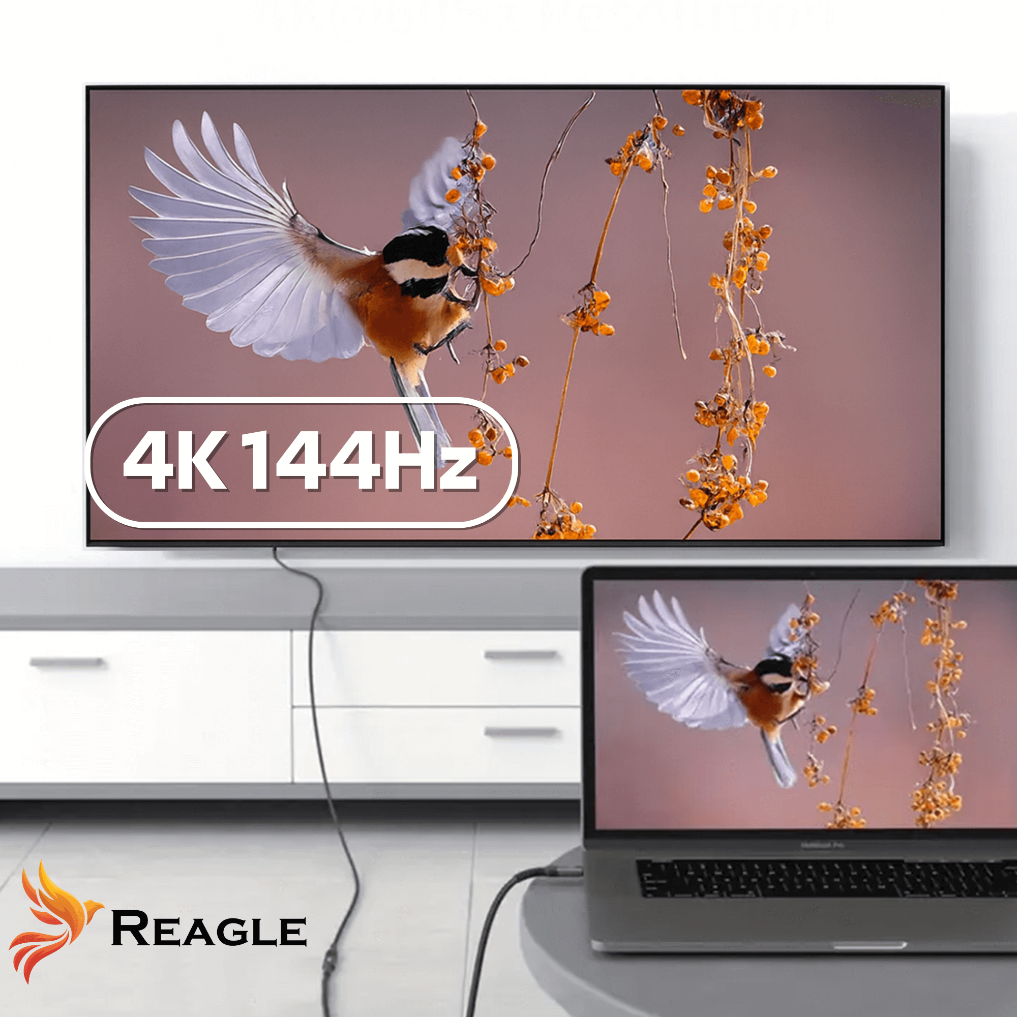 Reagle RPC300P przedłużacz USB-C 4K 144Hz Thunderbolt DP Alt Mode