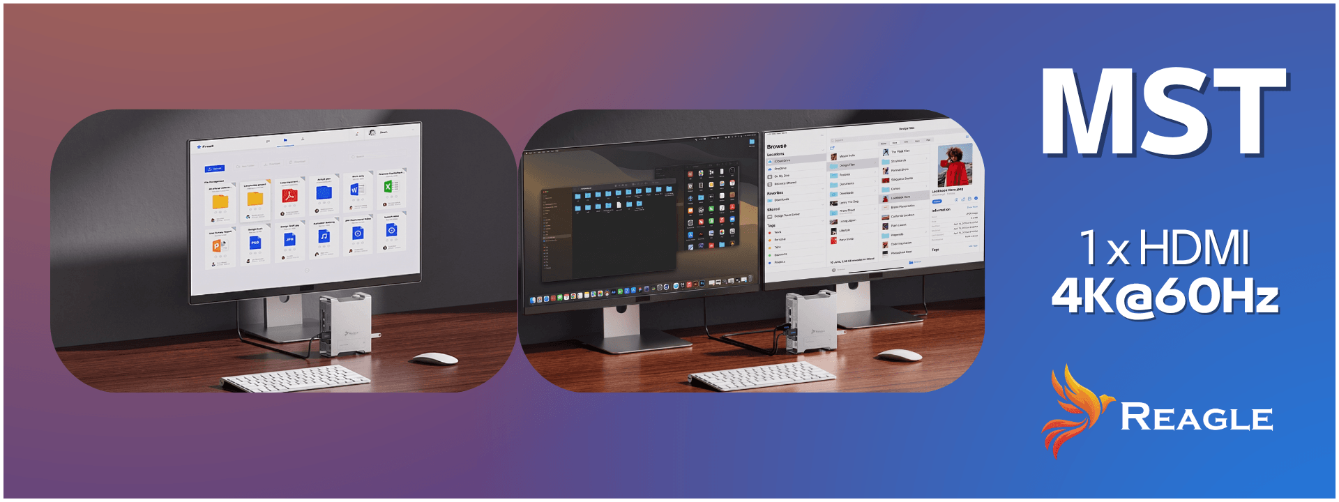 Mac Mini dock station Reagle NVMe