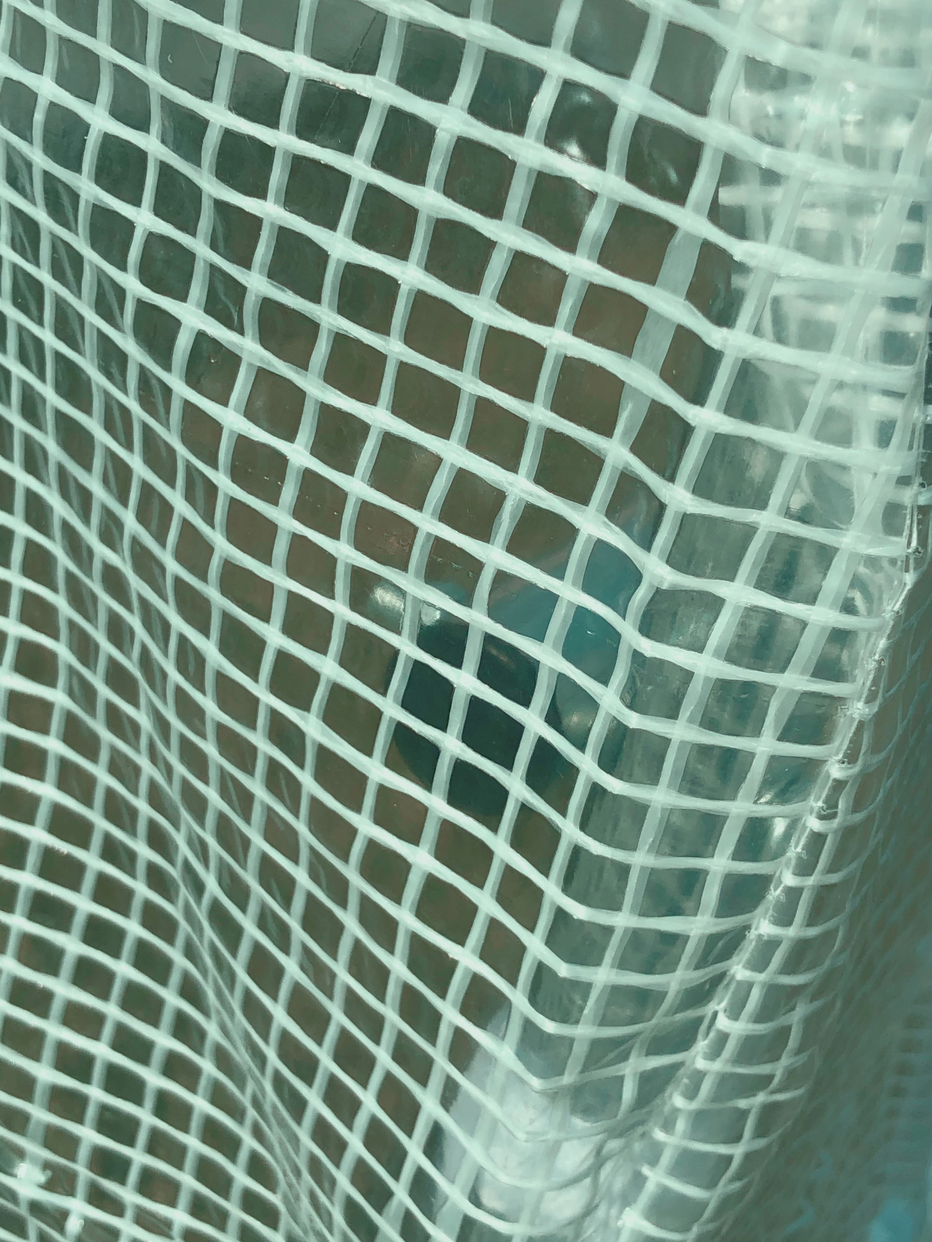 4235846_4.jpg