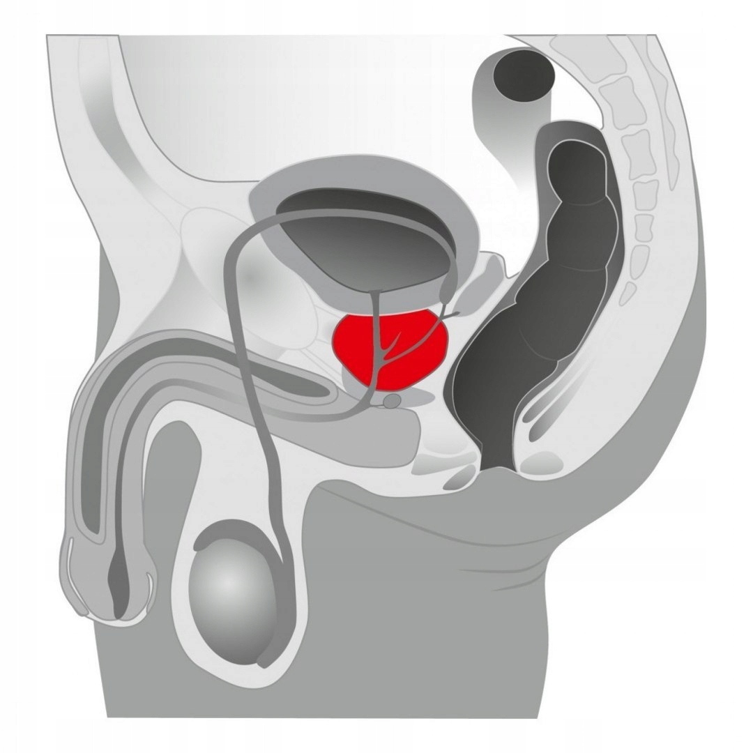 Masażer prostaty Joystick Prostata Booster, black
