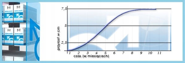 Penilarge Cream 50 ml "na męskość"
