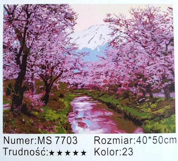 ZESTAW ART MALOWANIE PO NUMERACH CYFERKACH 40 x 50