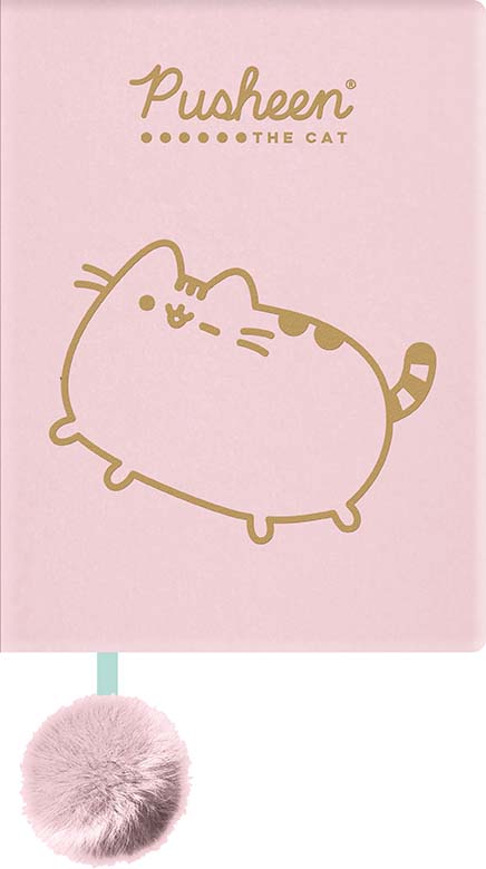 NOTES PLUSZOWY A5 96k. PUSHEEN 2080