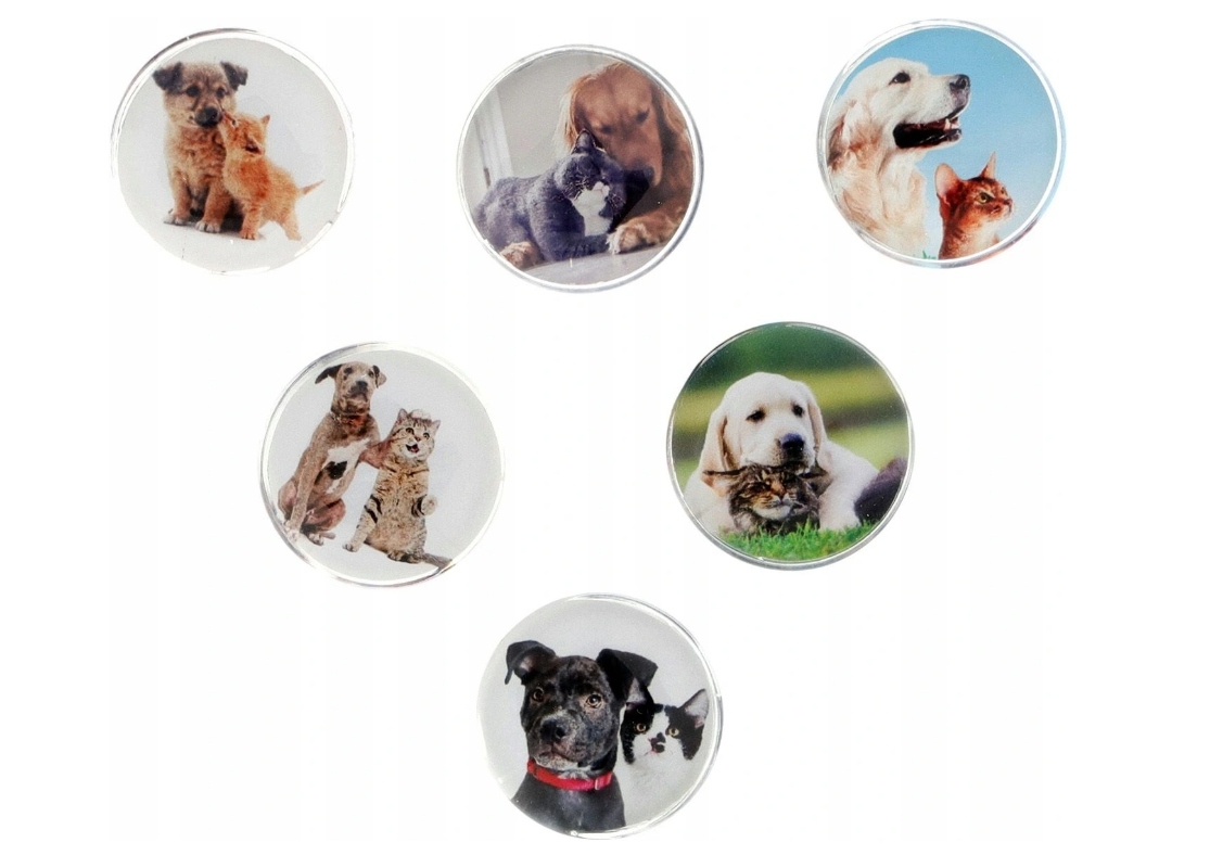 MAGNESY DO TABL.SZK.30/6 P/KOT 4756