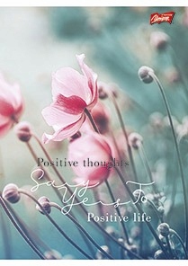 BRULION B5/160K KRATA OPR. POŁTWARDA 4001 A"5