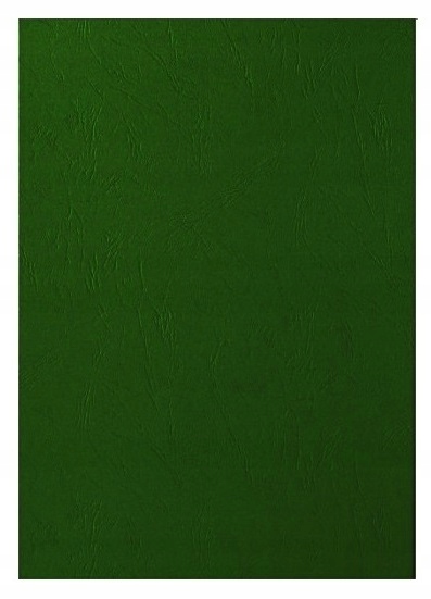 Karton Delta Skóropodobny A4 Zielony (100) 2223