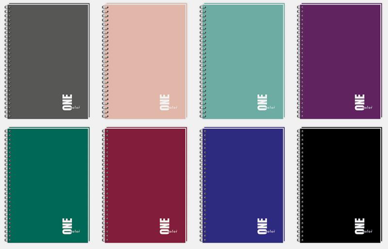 KOŁOZESZYT A5/100K KRATA ONE COLOR 7408 A'5