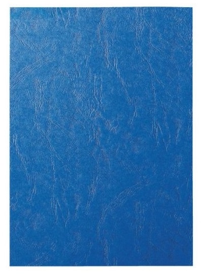 KARTON DELTA SKÓROPOD. A4 NIEBIESKI (100) 2247