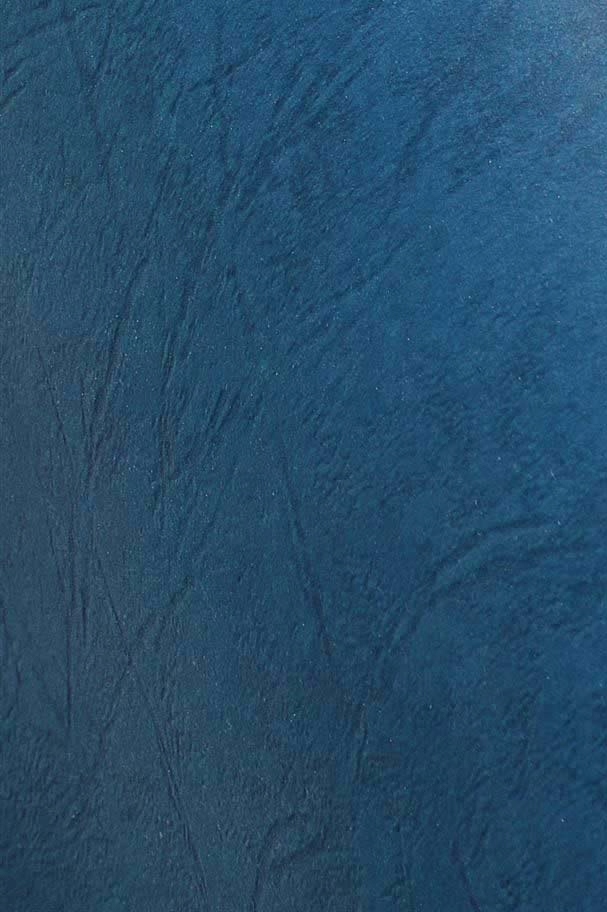 KARTON DELTA SKÓROPOD. A4 NIEBIESKI (100) 2247