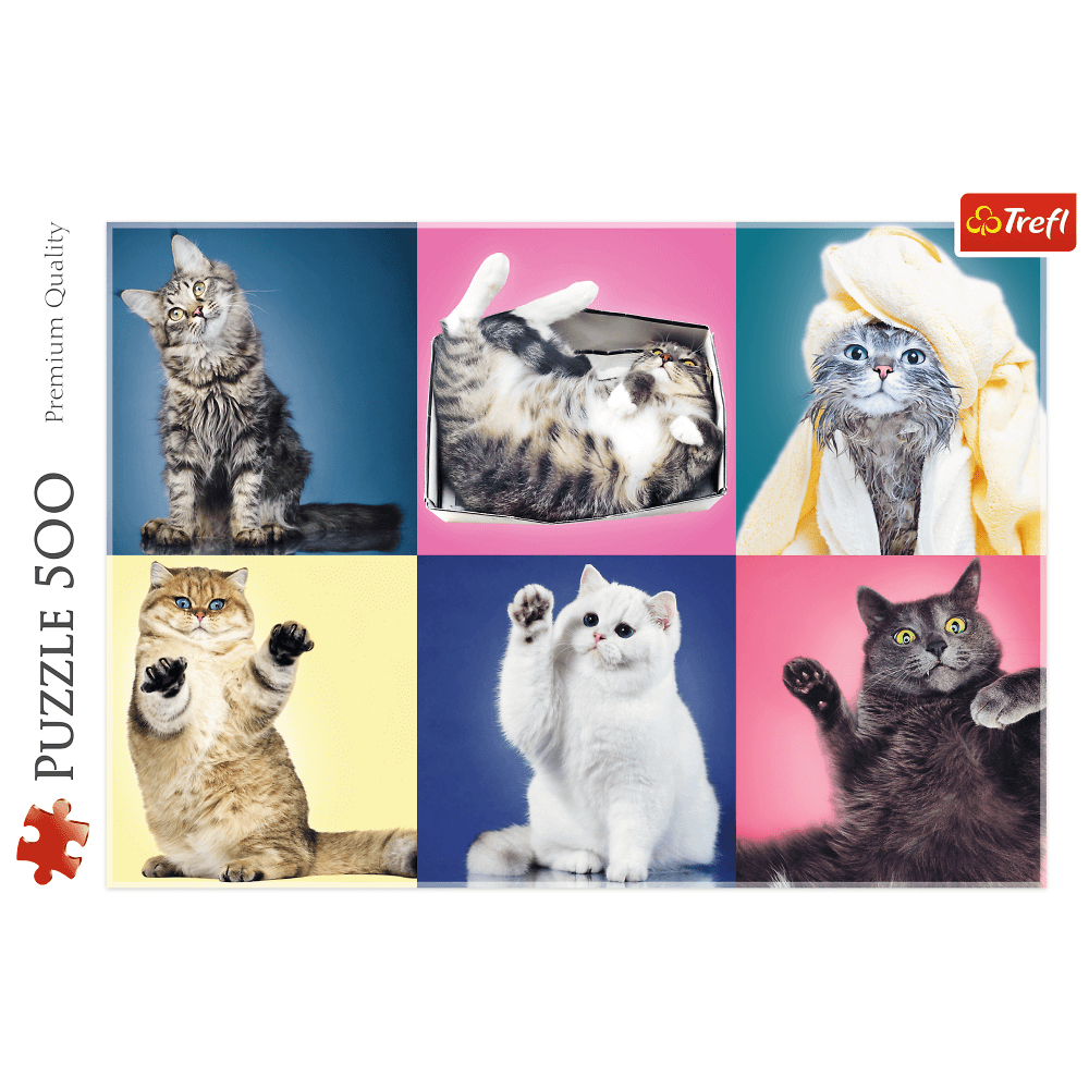 PUZZLE 500 KOCIAKI 37377