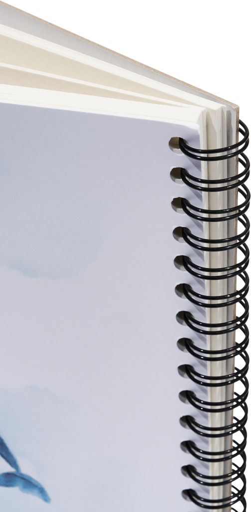 BLOK AKWARELA OXF ART SPIRAL A5 20K