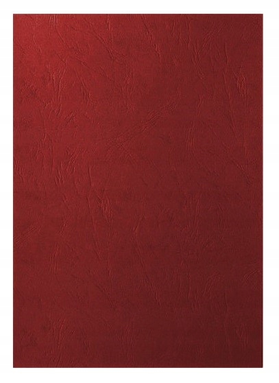 Karton Delta Skóropod. A4 Czerwony (100) 2186