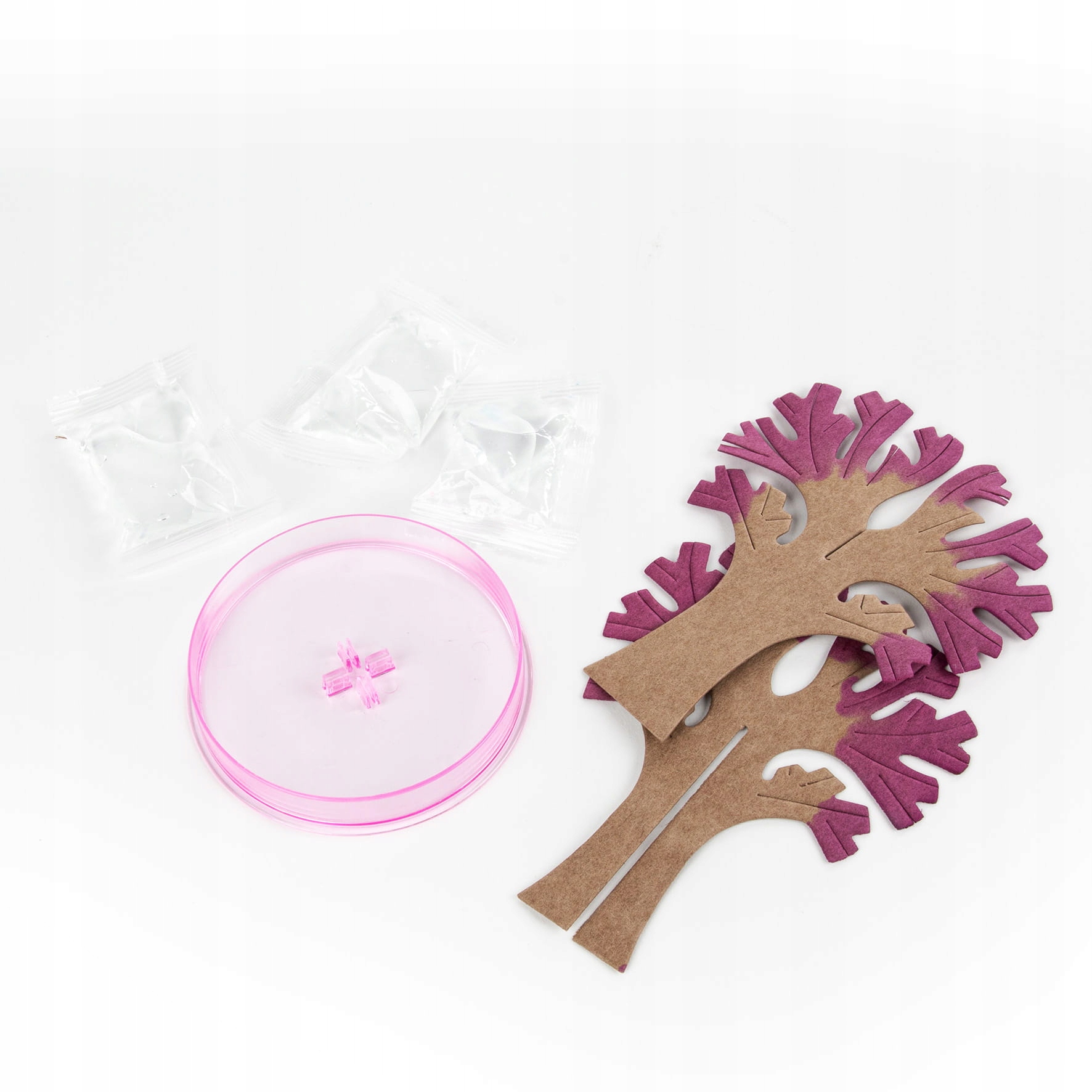 /{KWITNĄCE DRZEWO SAKURA KIDEA