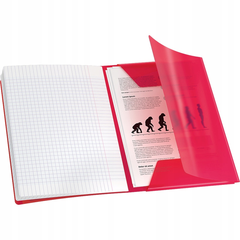ZESZYT A5/60K KRATA OXFORD EASYBOOK 400146693 A'8